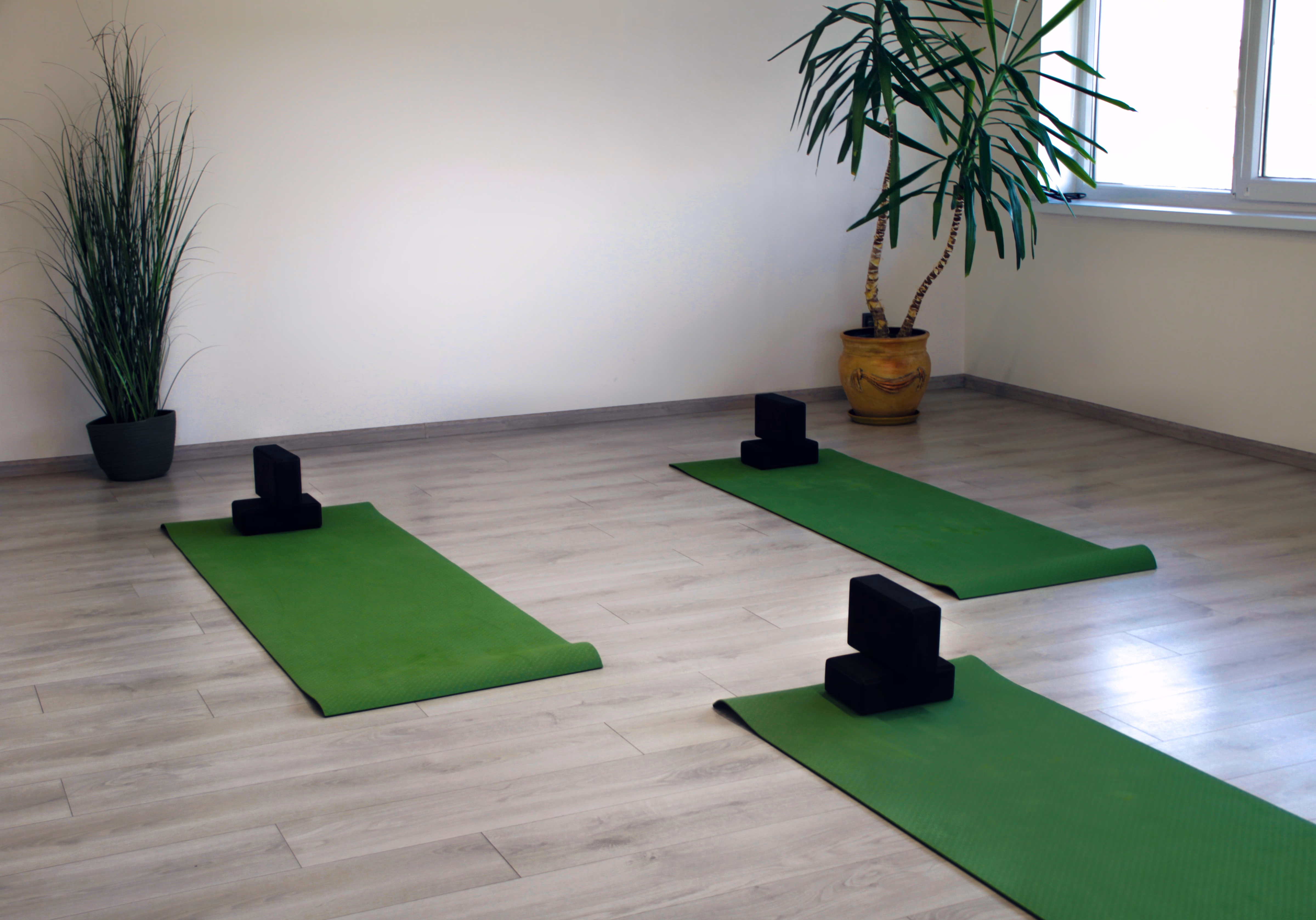 Інтер'єр студії TAO FIT